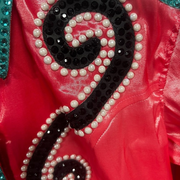 Western day/rail/showmanship/halter top - Picture 3 of 5